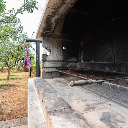 With Sea View 12 Daire *