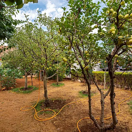 With Sea View 12 Vodice