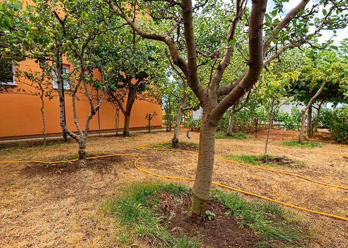 With Sea View 12 Lejlighed Vodice