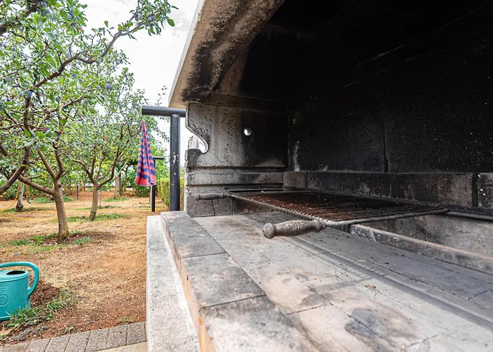 With Sea View 12 דירה *