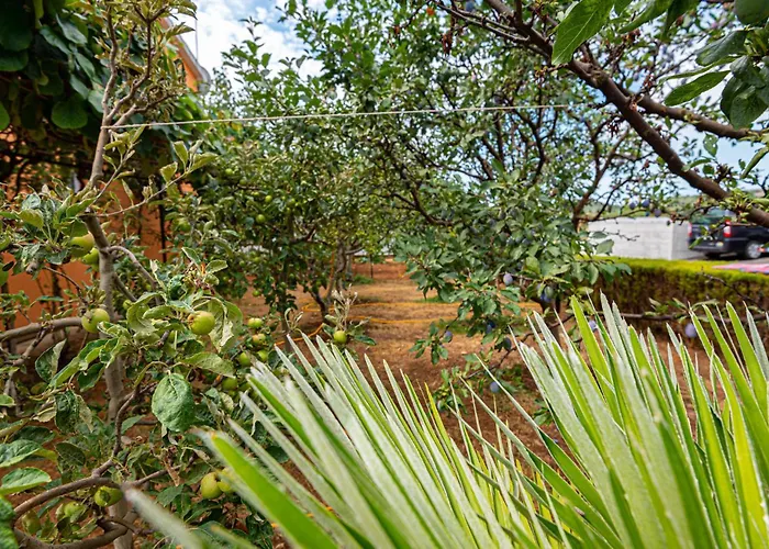 With Sea View 12 Vodice