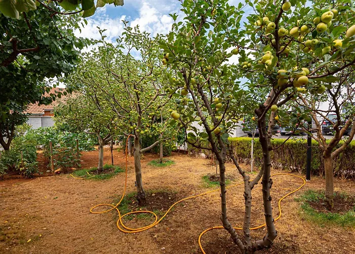 With Sea View 12 וודיצה